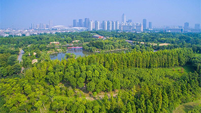 城市園林設(shè)計中的植物保護對策