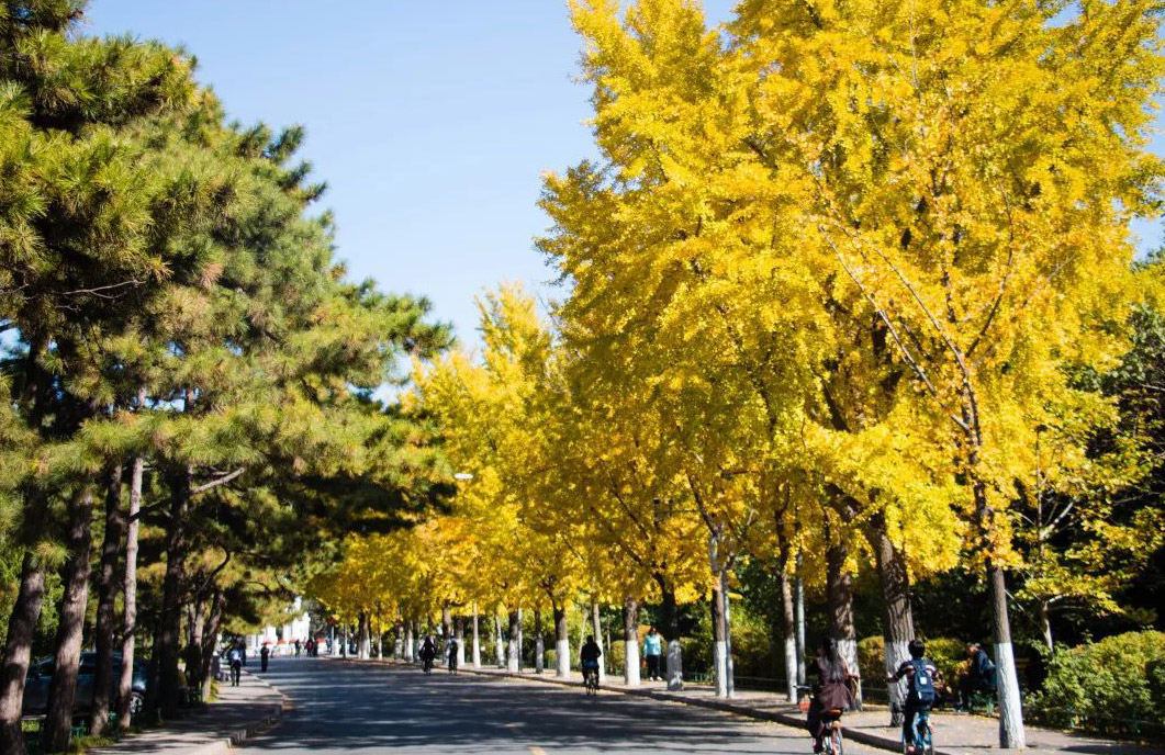 學校園林景觀設計圖片