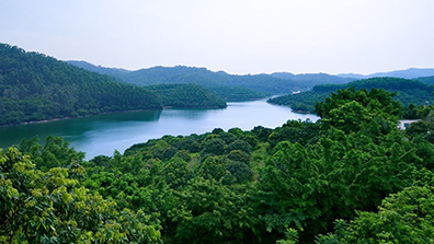 森林公園園林景觀設計的4點原則