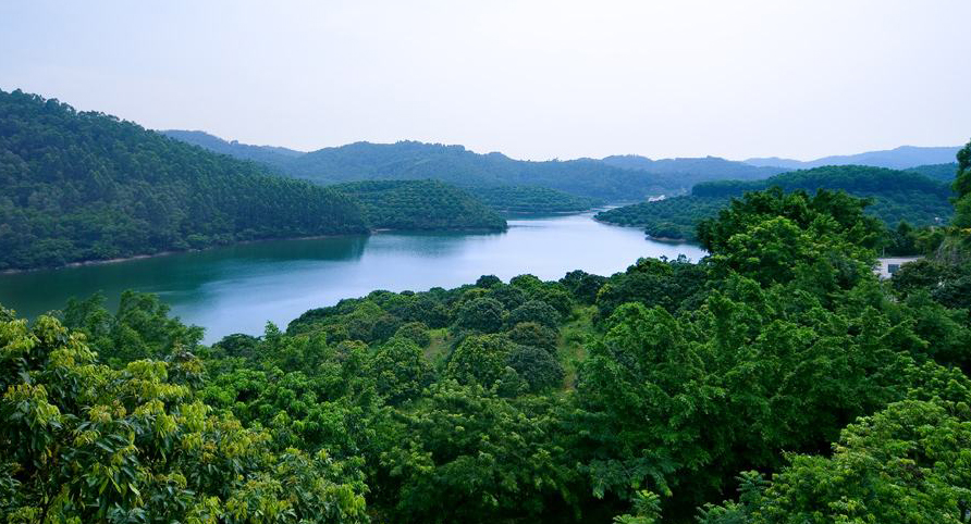 公園園林景觀設(shè)計圖片