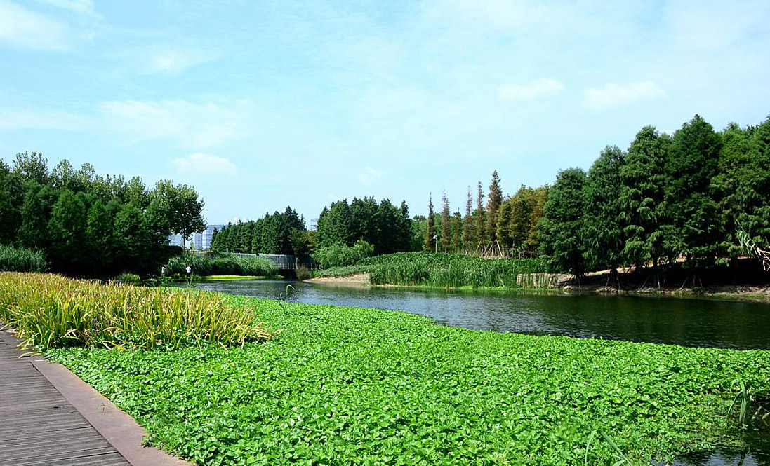 濕地公園景觀設計