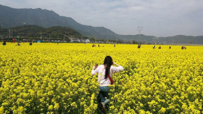 推動田園綜合體高質(zhì)量發(fā)展的幾點建議