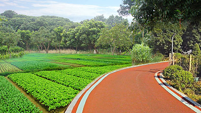 美環(huán)境，惠民生，繪就美麗圩鎮(zhèn)實景圖